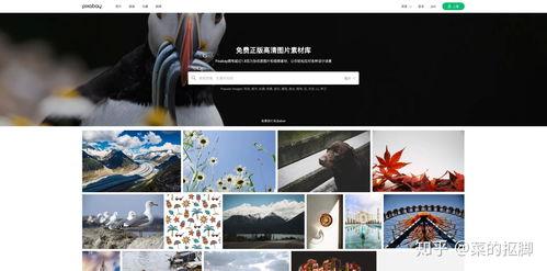 热门爆料视频剪辑素材库,视频剪辑素材库大揭秘！